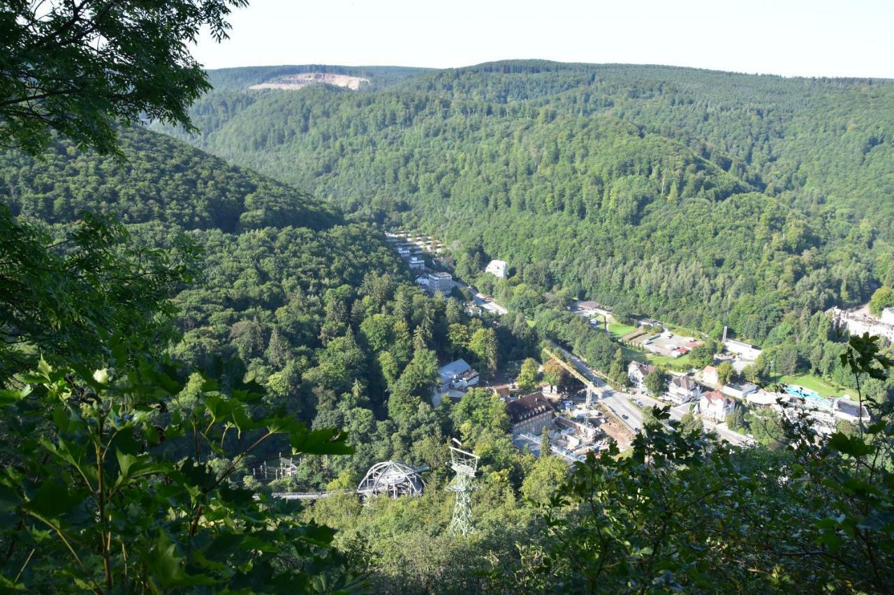 Bergbluete Apartment Bad Harzburg Exterior foto